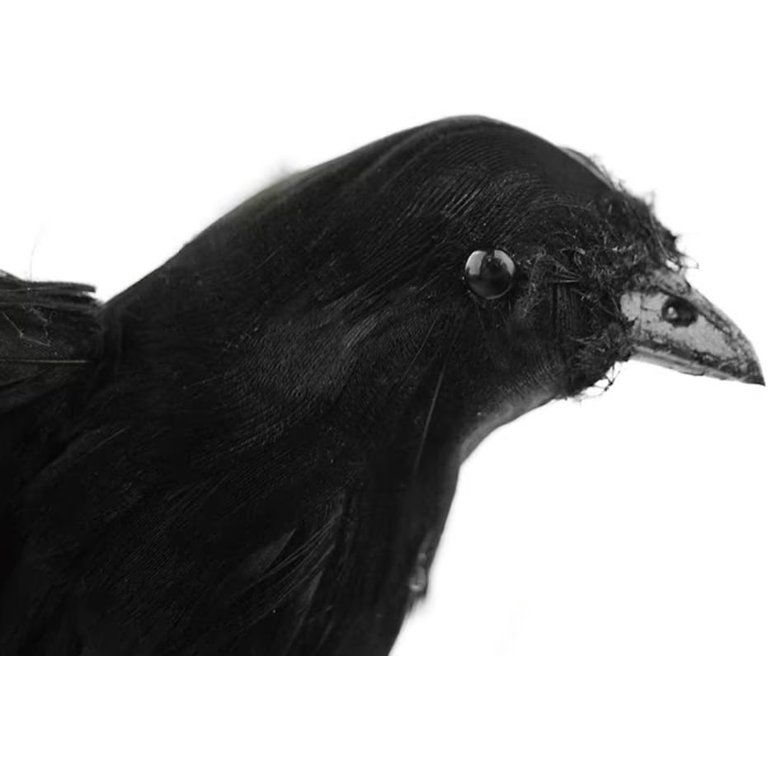 Adeeing Halloween Realistic Crows 12in Large Black Feather Crows Prop for Halloween Yard Garden D... | Walmart (US)