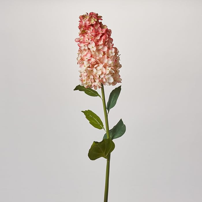 Darby Creek Trading Artificial Pee Gee Hydrangea Stem, 36 in Tall, 10 in Blooms, Single Long, Wir... | Amazon (US)