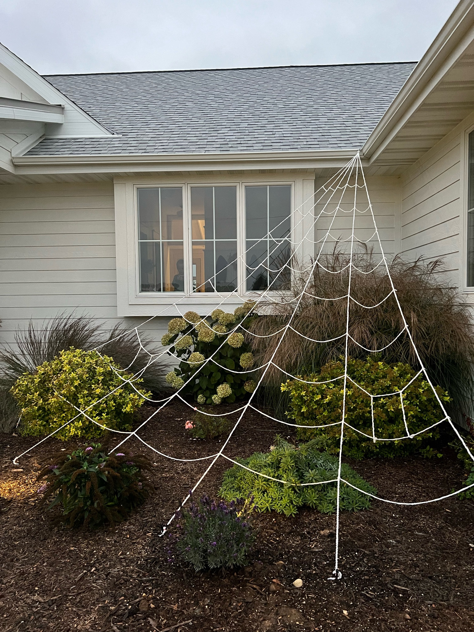 Spider web from Amazon  

#LTKhome #LTKHalloween #LTKSeasonal
