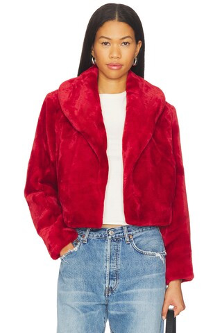 BLANKNYC Cropped Faux Fur Coat in Hot To Trot from Revolve.com | Revolve Clothing (Global)