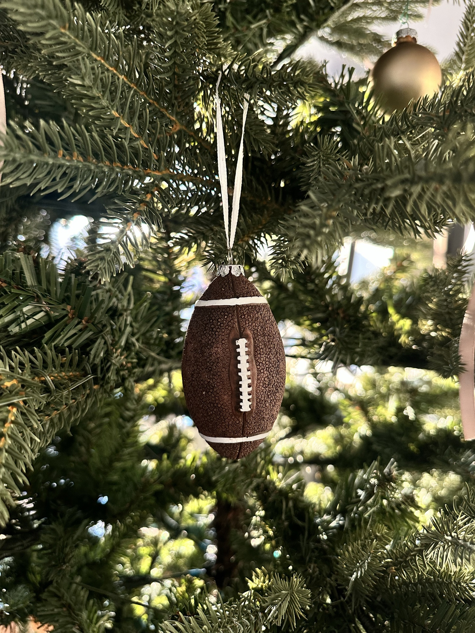 A little something for the sports lovers 🏈 Linking this ornament + my neutral tree picks. #LTKHolidayHome #LTKTreeDecor #LTKFinds

#LTKGiftGuide #LTKCyberWeek #LTKHoliday