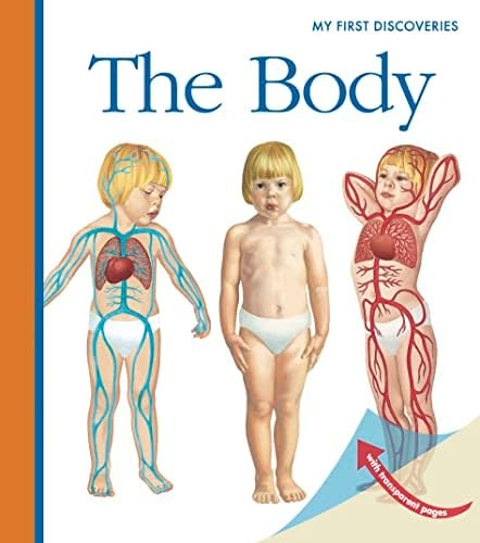 The Body (Volume 16) (My First Discoveries) | Amazon (US)