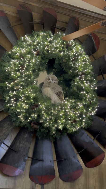 It’s feeling pretty perfect just like this!  Loving this 60” wreath with my 50’ cluster lights and my owl.  

#LTKSeasonal #LTKhome #LTKHoliday