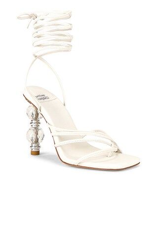 Bijouxx Sandal
                    
                    Jeffrey Campbell
                
       ... | Revolve Clothing (Global)