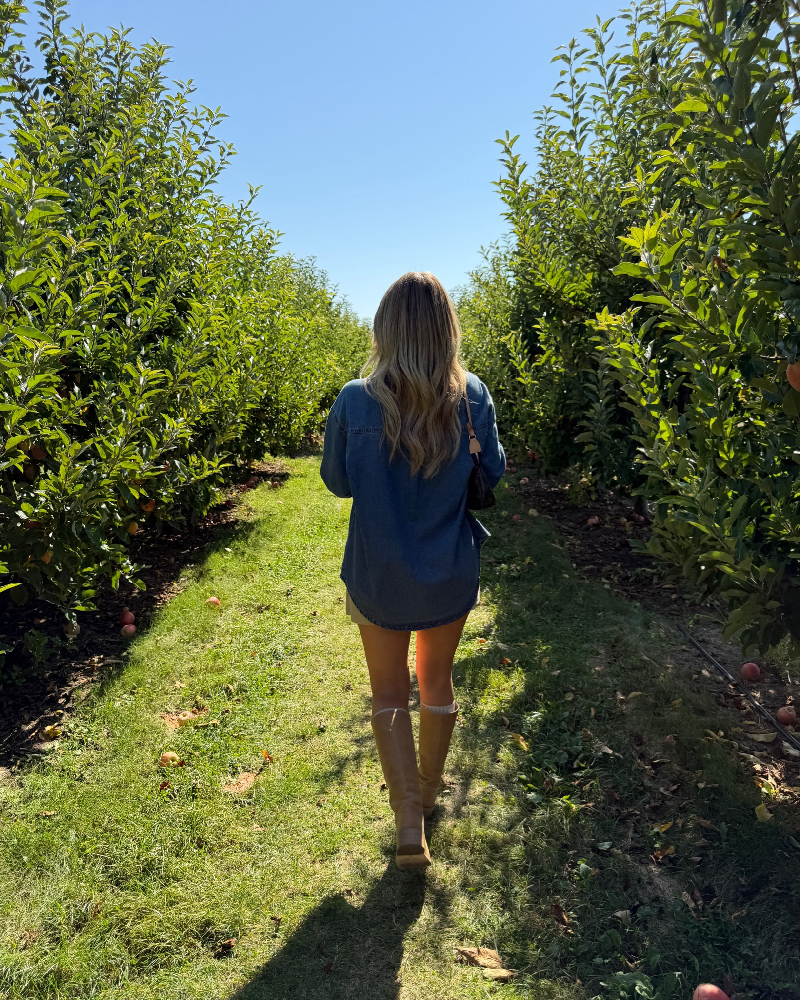 Fall apple picking outfit🍎🍂🧺

#LTKpetite #LTKstyletip #LTKcanada