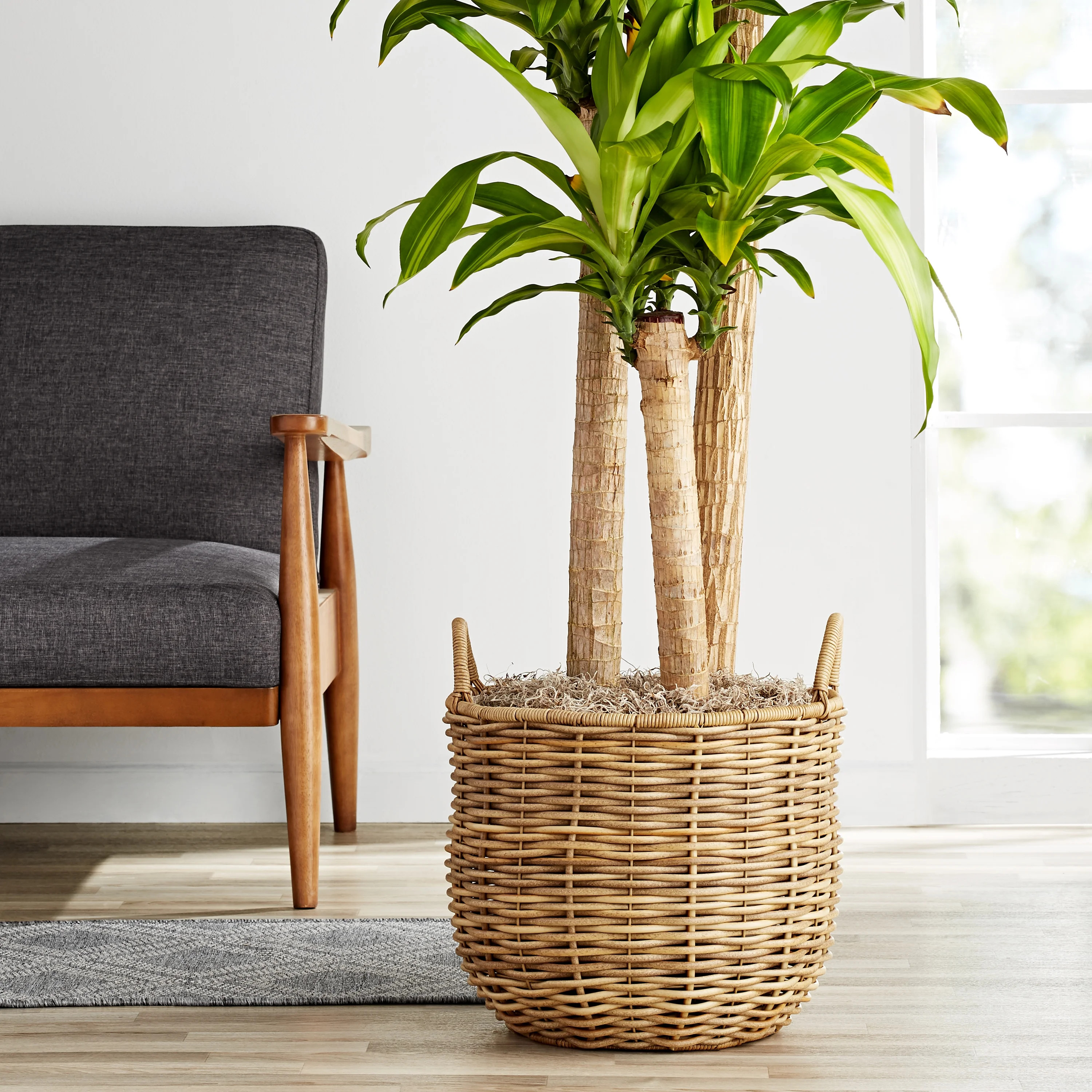 Better Homes & Gardens 15IN Everly Resin Rattan Planter, Light Brown | Walmart (US)