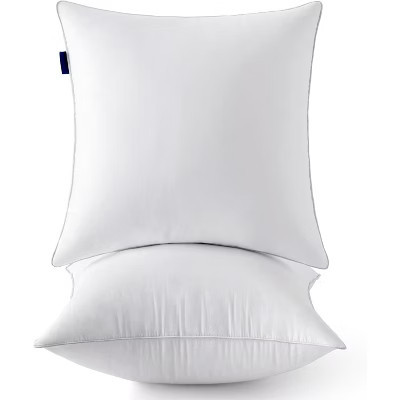 20 x 20 Pillow Inserts (Set of 2) -Throw Pillows for Couch Sofa with 100% Cotton Covers 2- 20x20 Inch 20*20 | Target