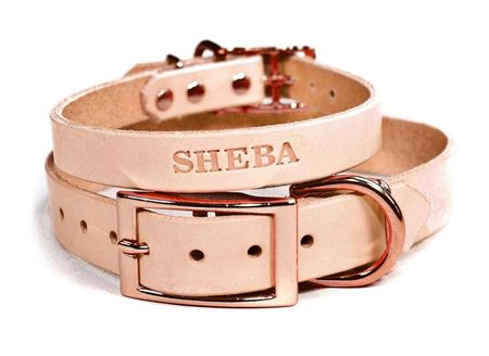 Personalized dog collsr

#LTKGiftGuide