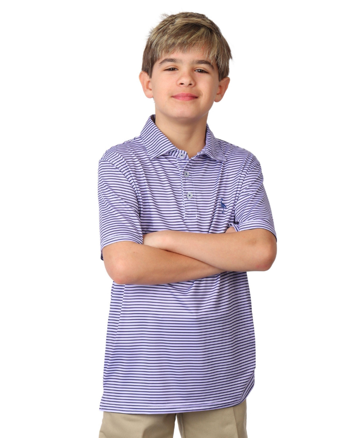 TailorByrd Boys Multi Stripes Printed Performance Short Sleeve Polo - Purple | Macy's