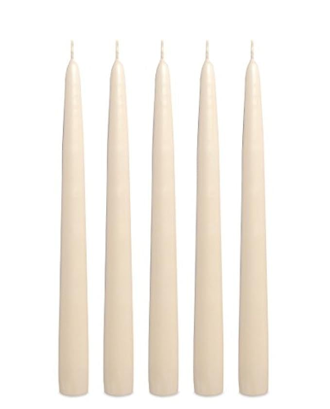 Ivory Taper Candles 10 Inches Tall - Elegant - Premium Quality - Dripless Smokeless - Unscented - Ha | Amazon (US)