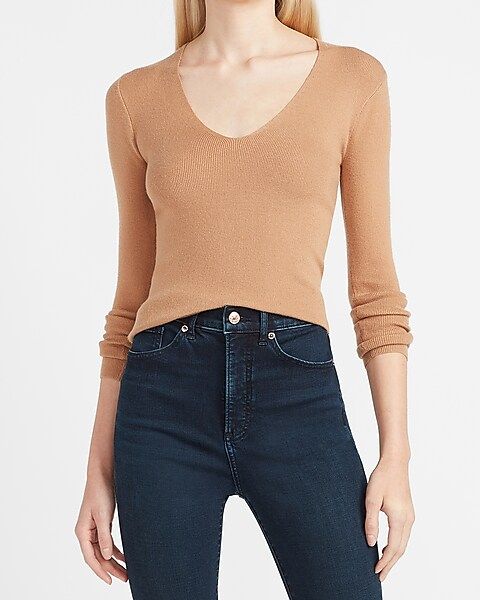 Fitted V-Neck Sweater | Express