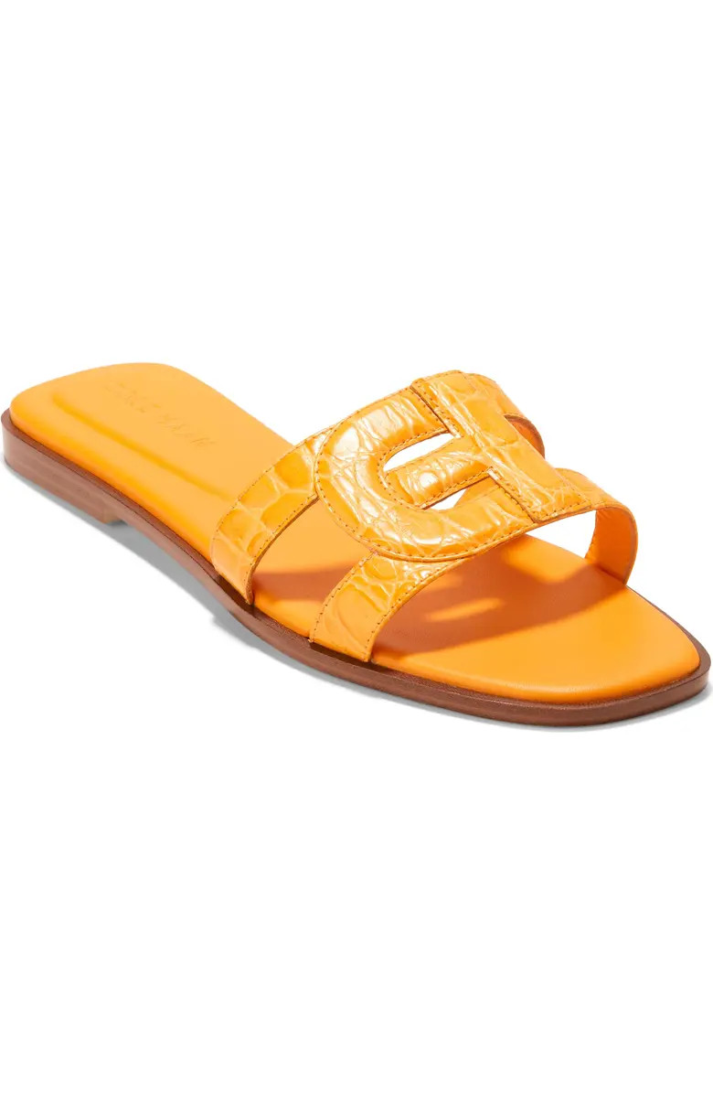 Chrisee Slide Sandal (Women) | Nordstrom