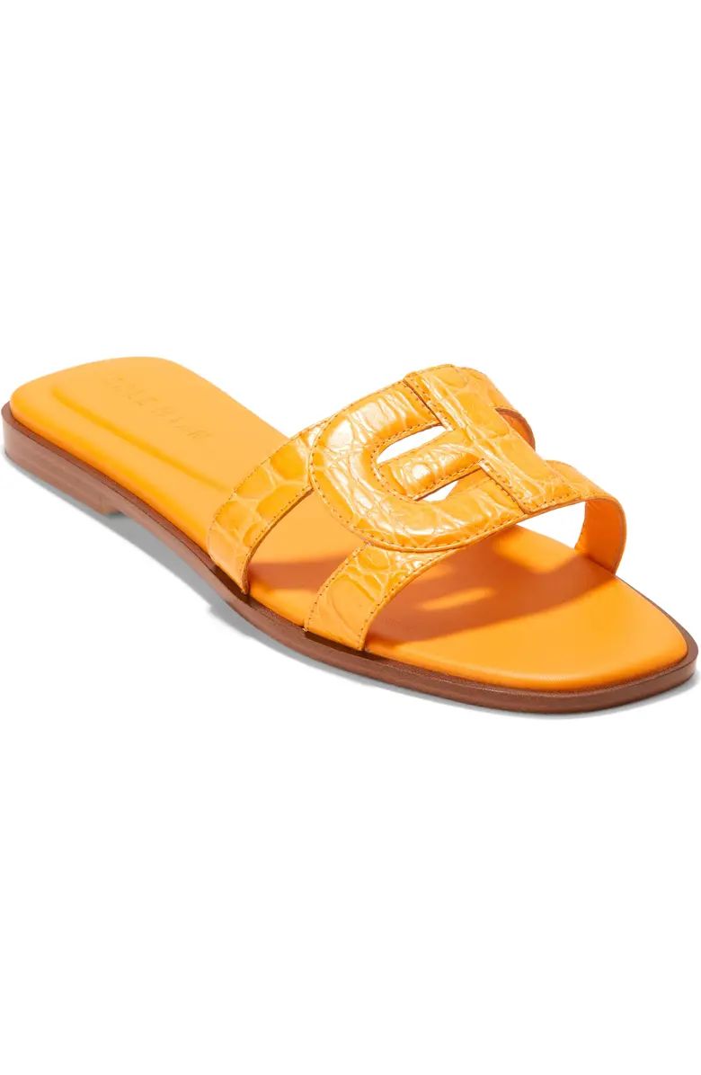 Chrisee Slide Sandal (Women) | Nordstrom