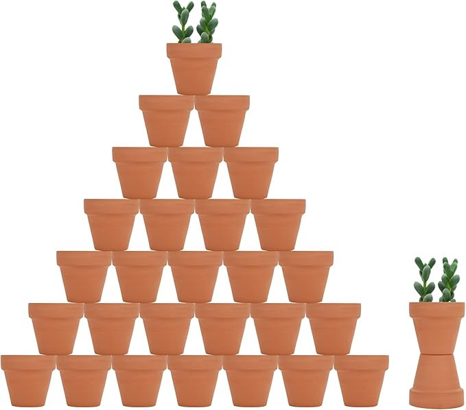 32pcs Small Mini Clay Pots, 2" Terracotta Pot Clay Ceramic Pottery Planter, Cactus Flower Nursery... | Amazon (US)