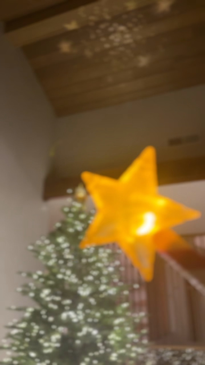 My tree and all the holiday decorations 

#LTKGiftGuide #LTKHoliday #LTKCyberWeek