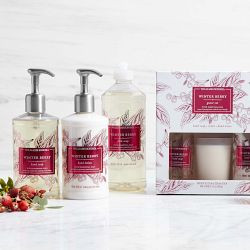 Williams Sonoma Winter Berry Dish Soap | Williams-Sonoma