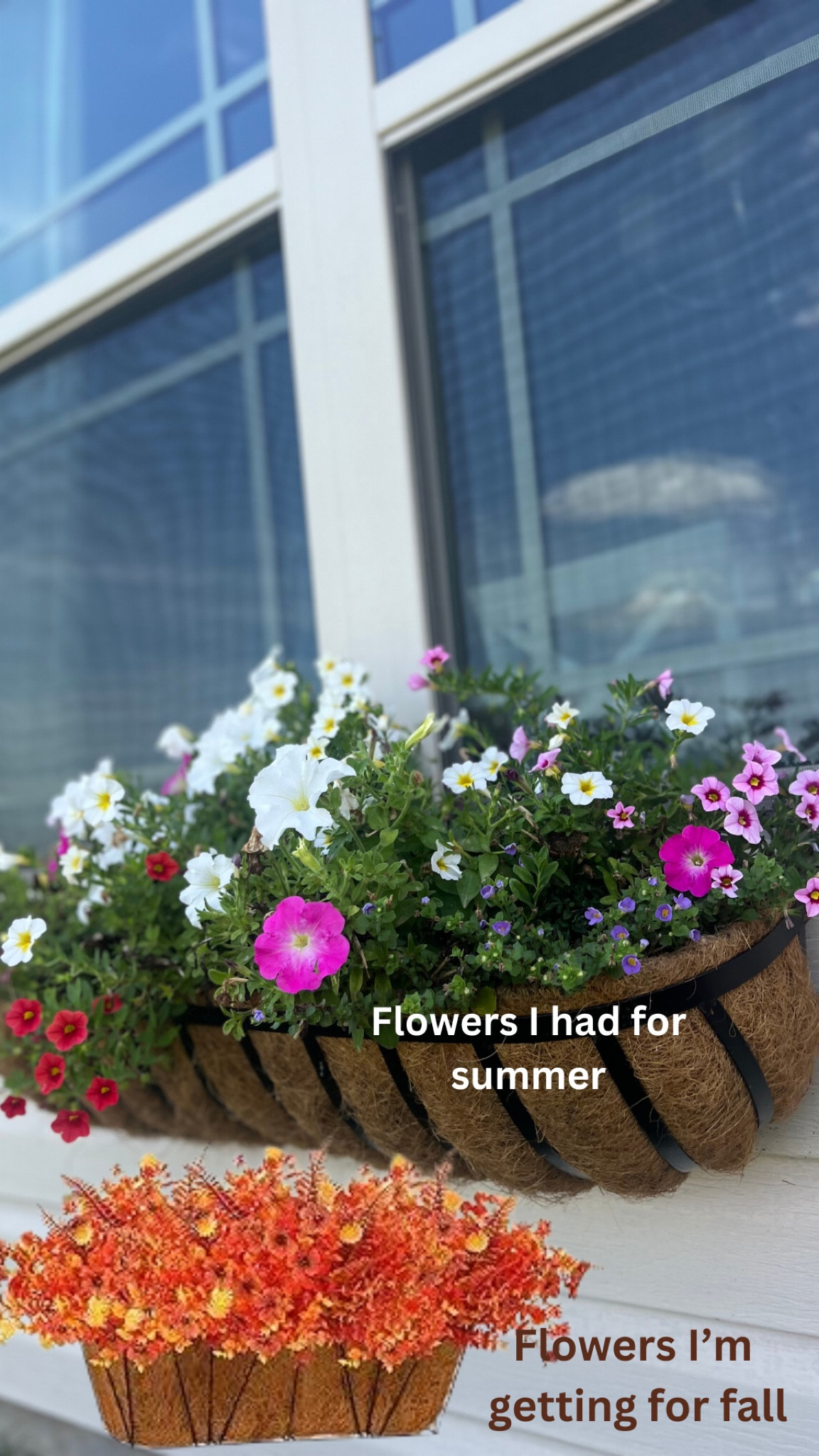 Boxwood fall flowers! 🤎🤎

#LTKNYFW #LTKCon #LTKFallSale