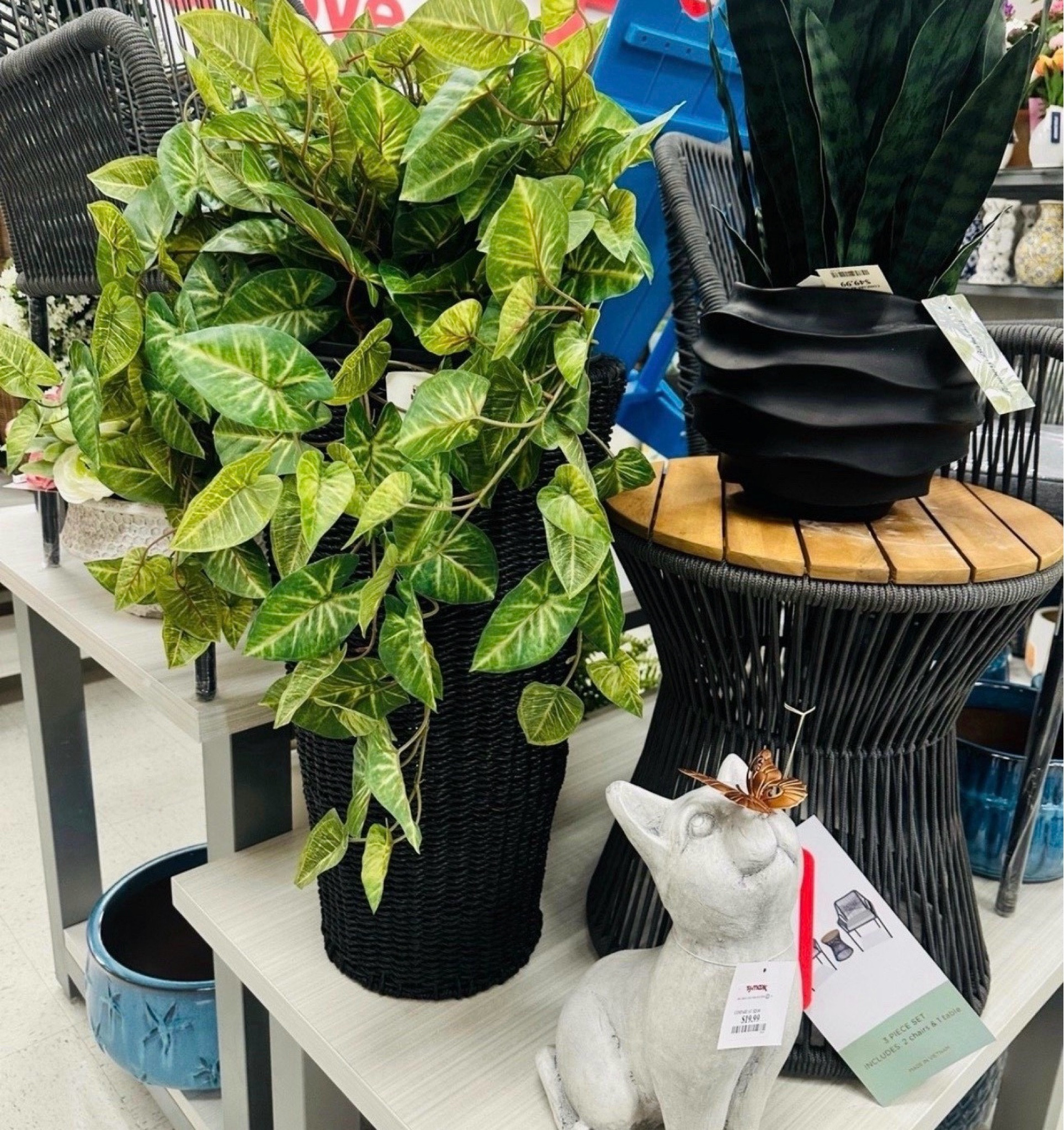 Adding greenery = instant home upgrade 🌿✨
TJ Maxx always has the BEST affordable decor pieces for that cozy aesthetic

#LTKHome