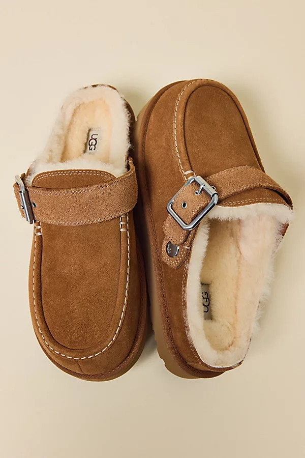 UGG Women's Goldenstar Evelina Clogs in Chestnut, Women's at Urban Outfitters | Urban Outfitters (US and RoW)