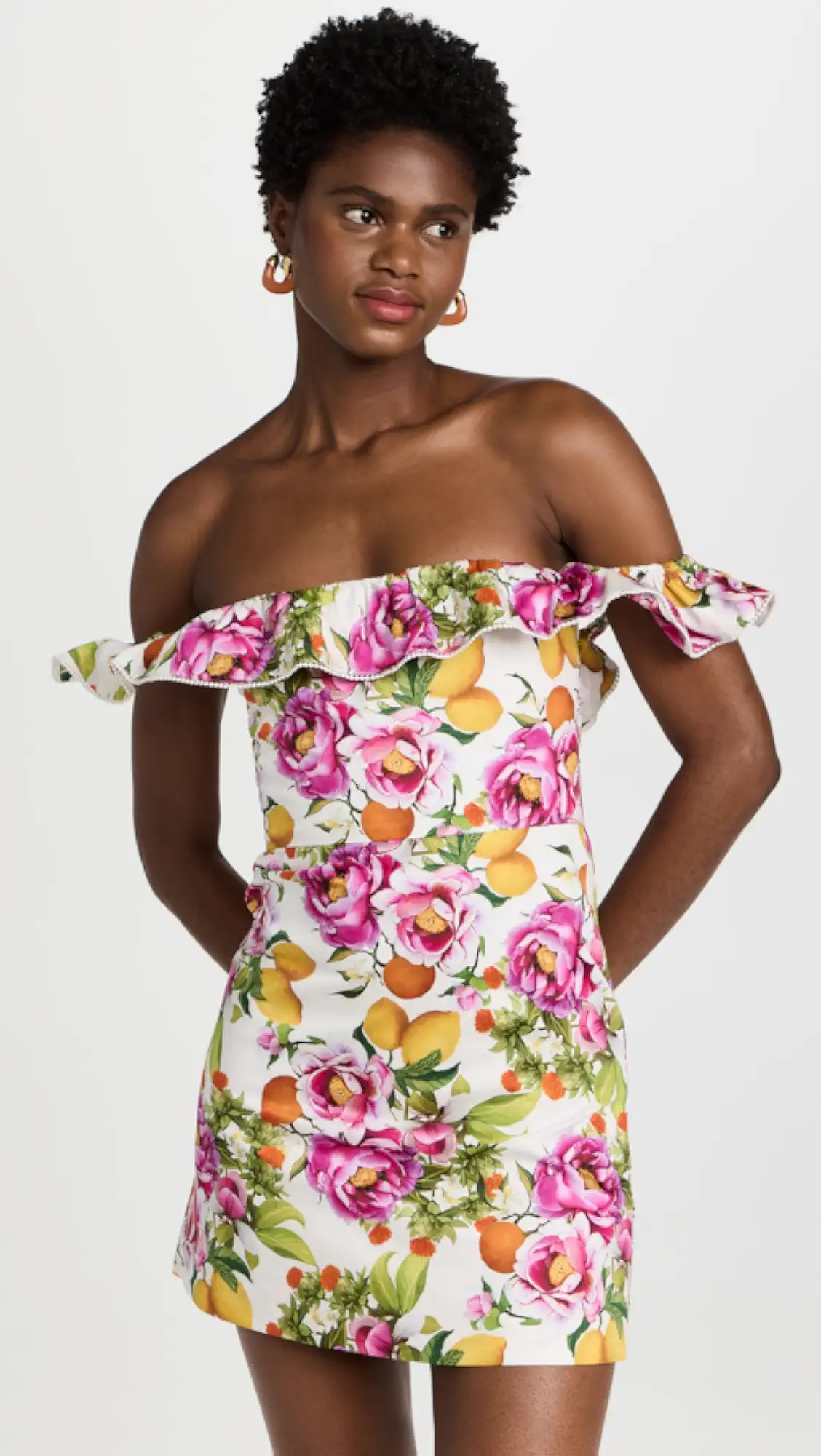 Nalani Mini Dress | Shopbop