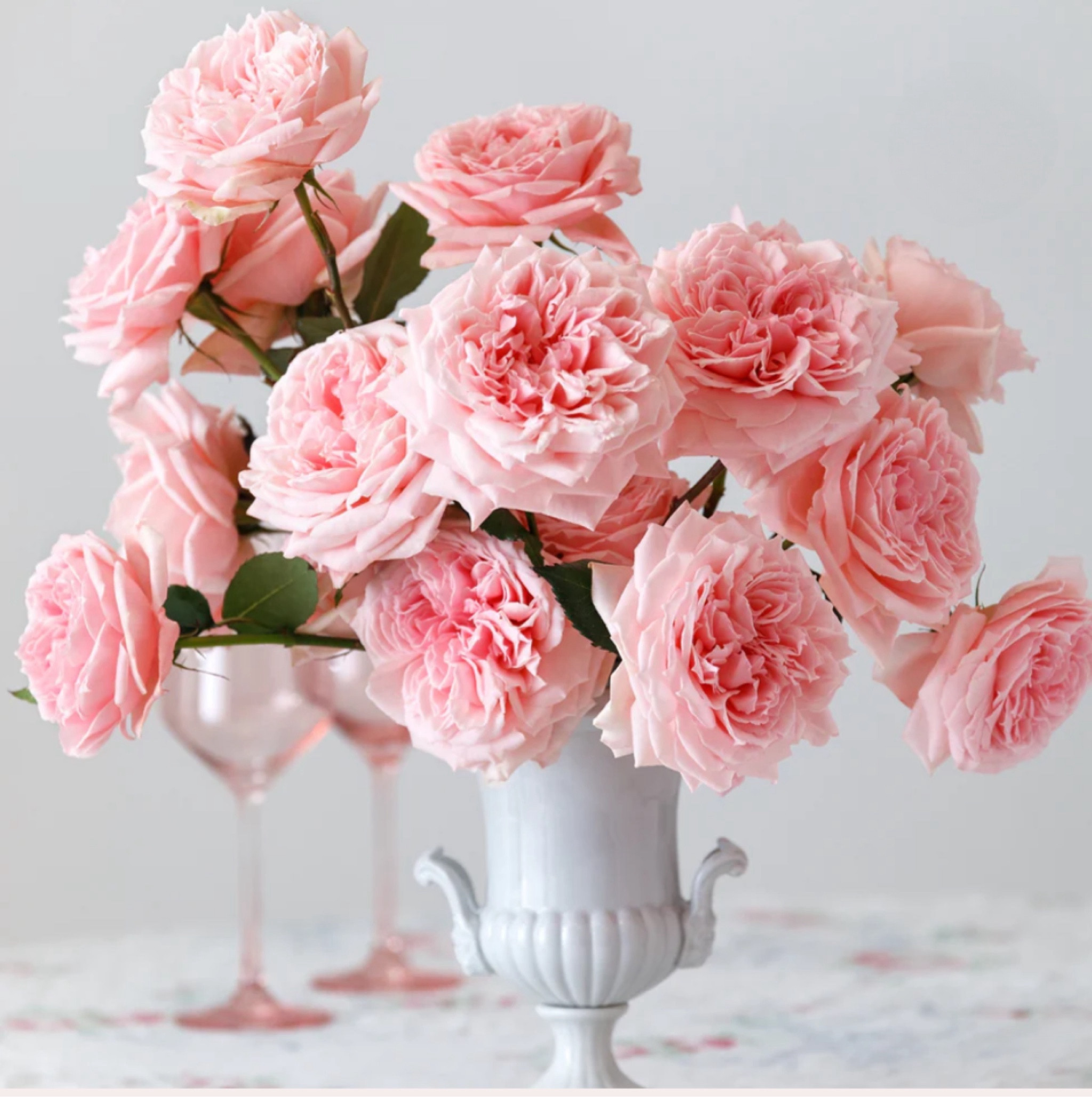 GRACE ROSE FARM
Give her the most beautiful roses in the world!
🤍
Live Bouquets, Roses, Bouquets, Valentine’s Day Flowers

#LTKsalealert #LTKGiftGuide #LTKMostLoved