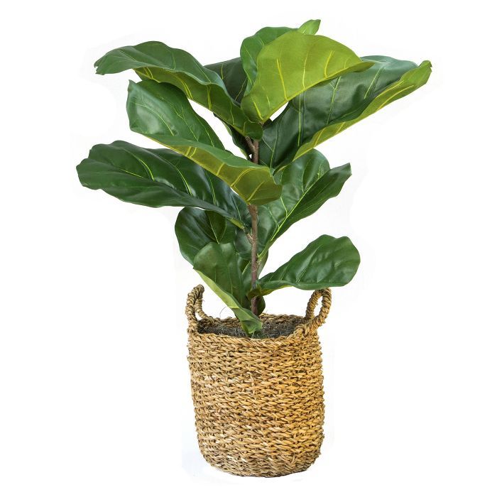 36" x 18" Artificial Fiddle Leaf Fig Plant in Basket - LCG Florals | Target