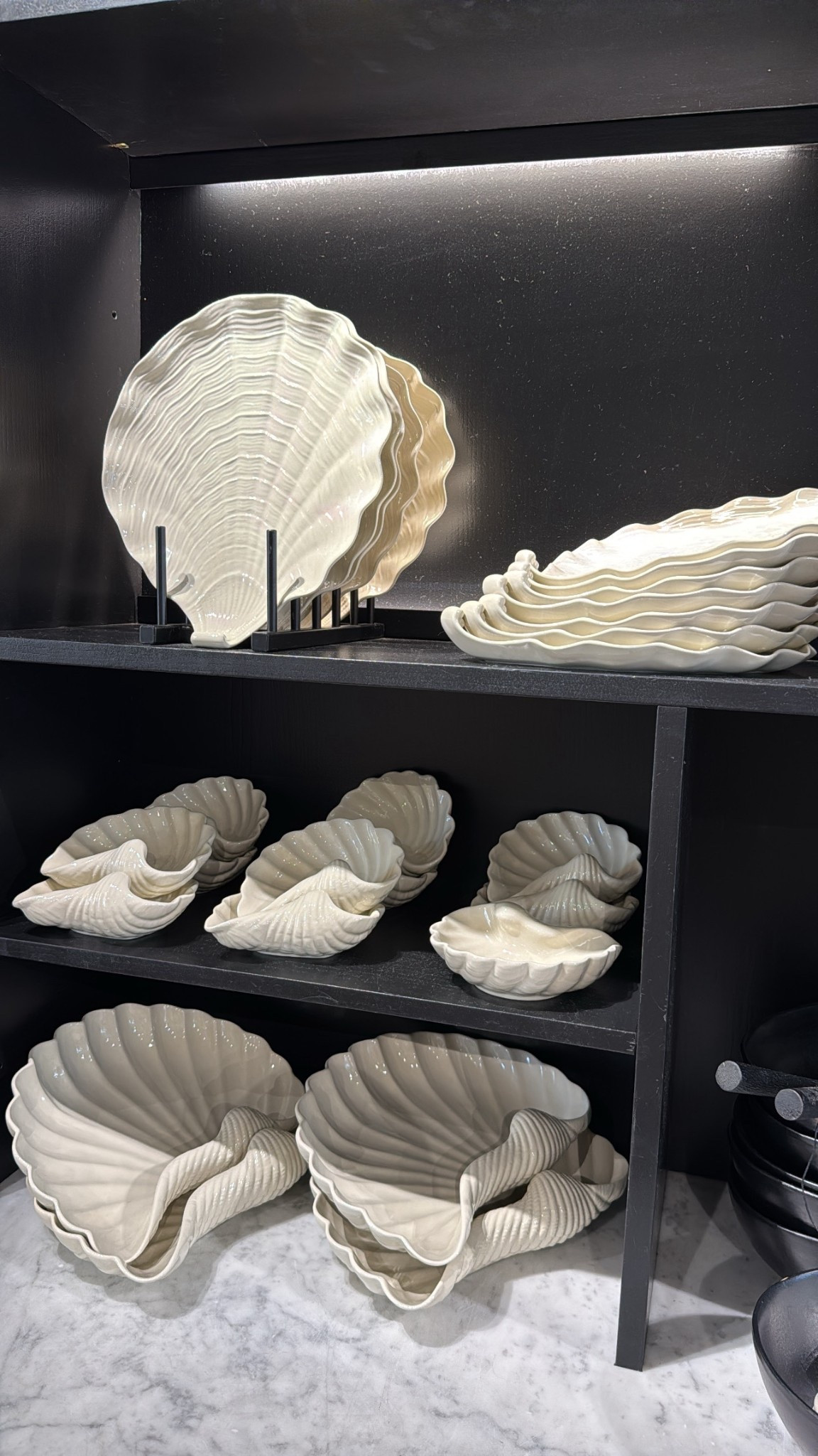 Seashell collection  🐚🤍✨

#LTKsummer