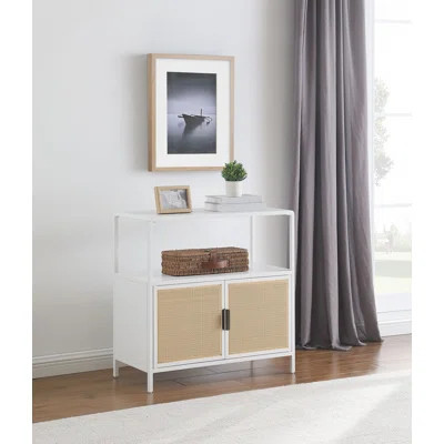 Raziel 2-Door Radio Weave Cane Metal Accent Cabinet White | Wayfair North America