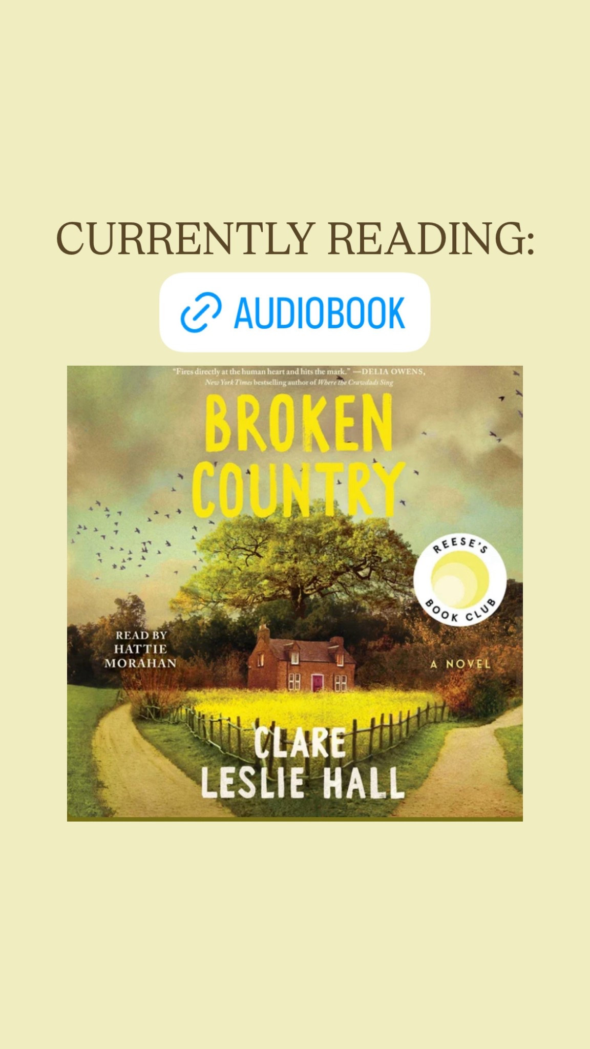 tbr, tbr list, currently reading, 2025 book reads, book club, reading, read, reading recommendations 

#LTKFindsUnder50 #LTKTravel