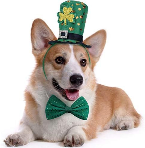 St Patricks Day Dog Costume - St. Patty's Day Doggie Headband and Green Bow Tie Kit | Amazon (US)