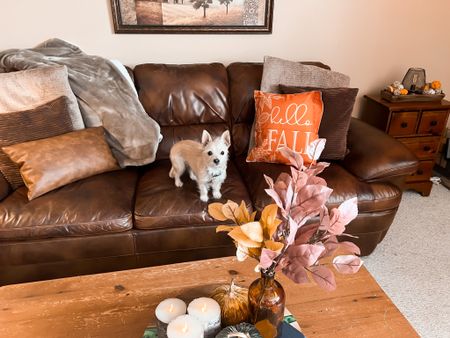 Fall pillow covers - fall home decor - fall decor - faux leather pillows - birch Flameless candles - Amazon Home - Amazon finds - Amazon deals 

#LTKHalloween #LTKhome #LTKSeasonal