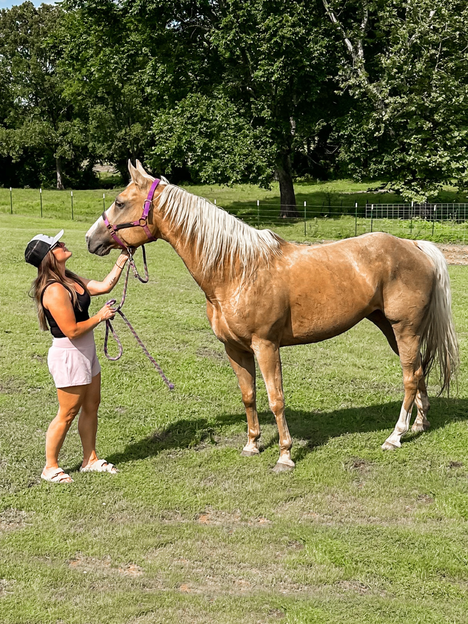 Halara shorts and tank for the win! 

#LTKActive