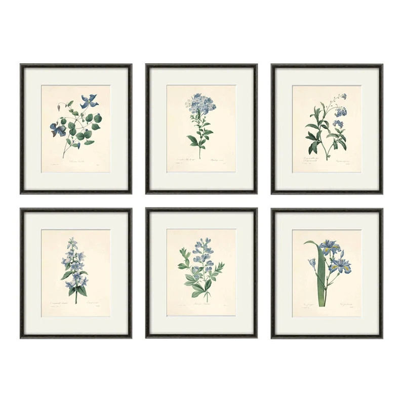 Antique Botanical Prints SET of 6 Botanical Art Prints Flower Prints Wall Art Flowers Botanical P... | Etsy (US)