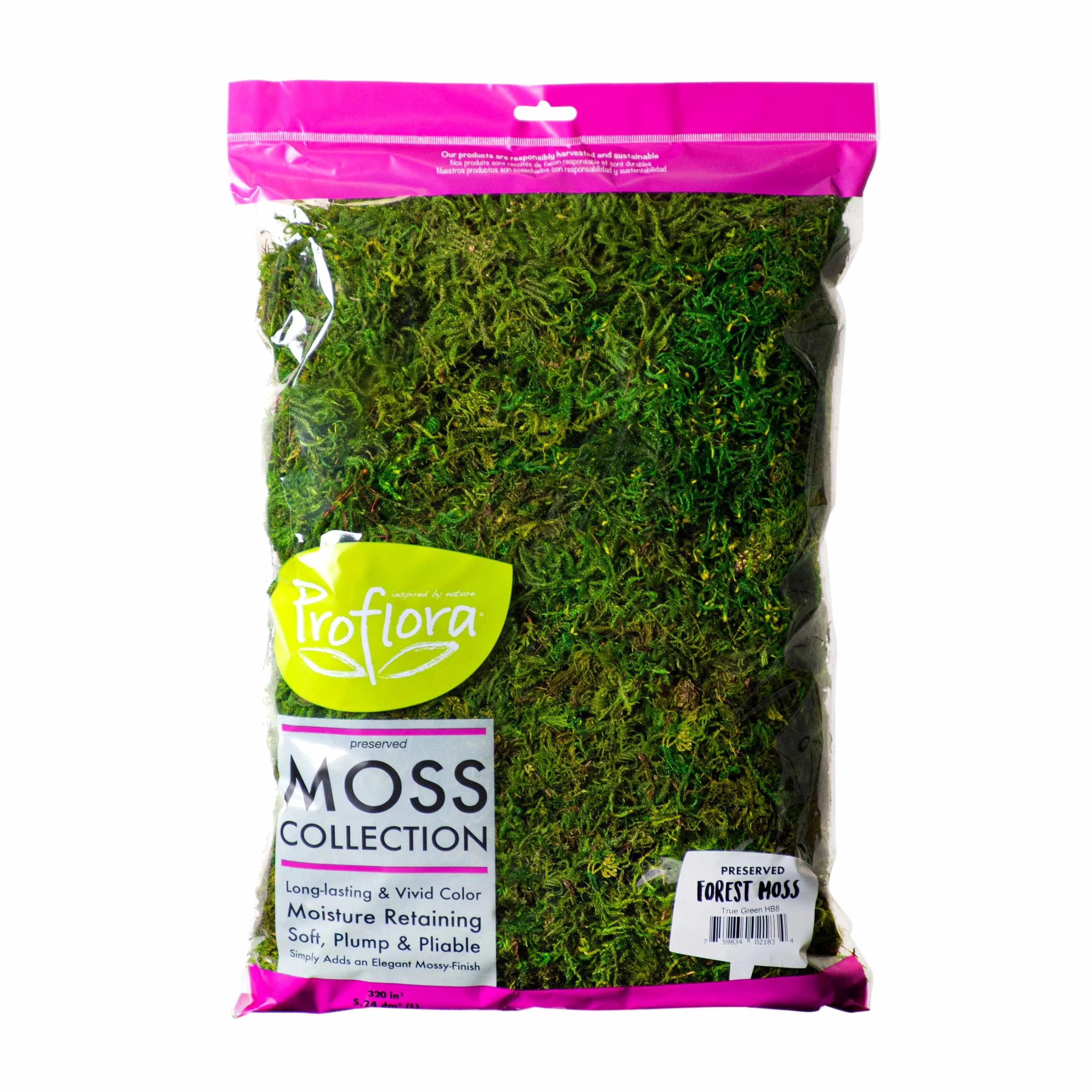 Proflora Preserved Forest Moss, True Green, 320 CU in | Walmart (US)