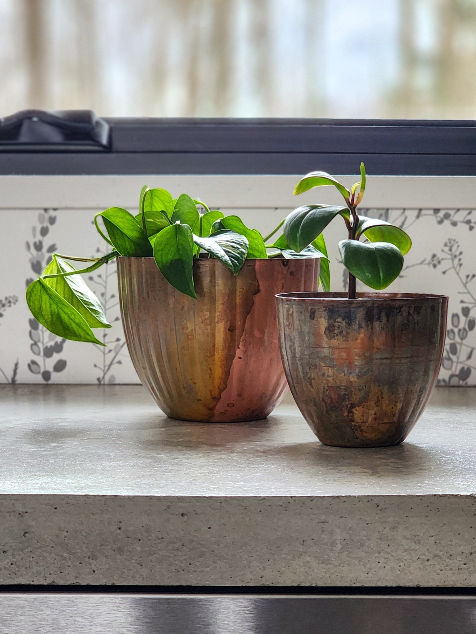 Magnolia aged copper planters.

#LTKHome #LTKFindsUnder50 #LTKSeasonal