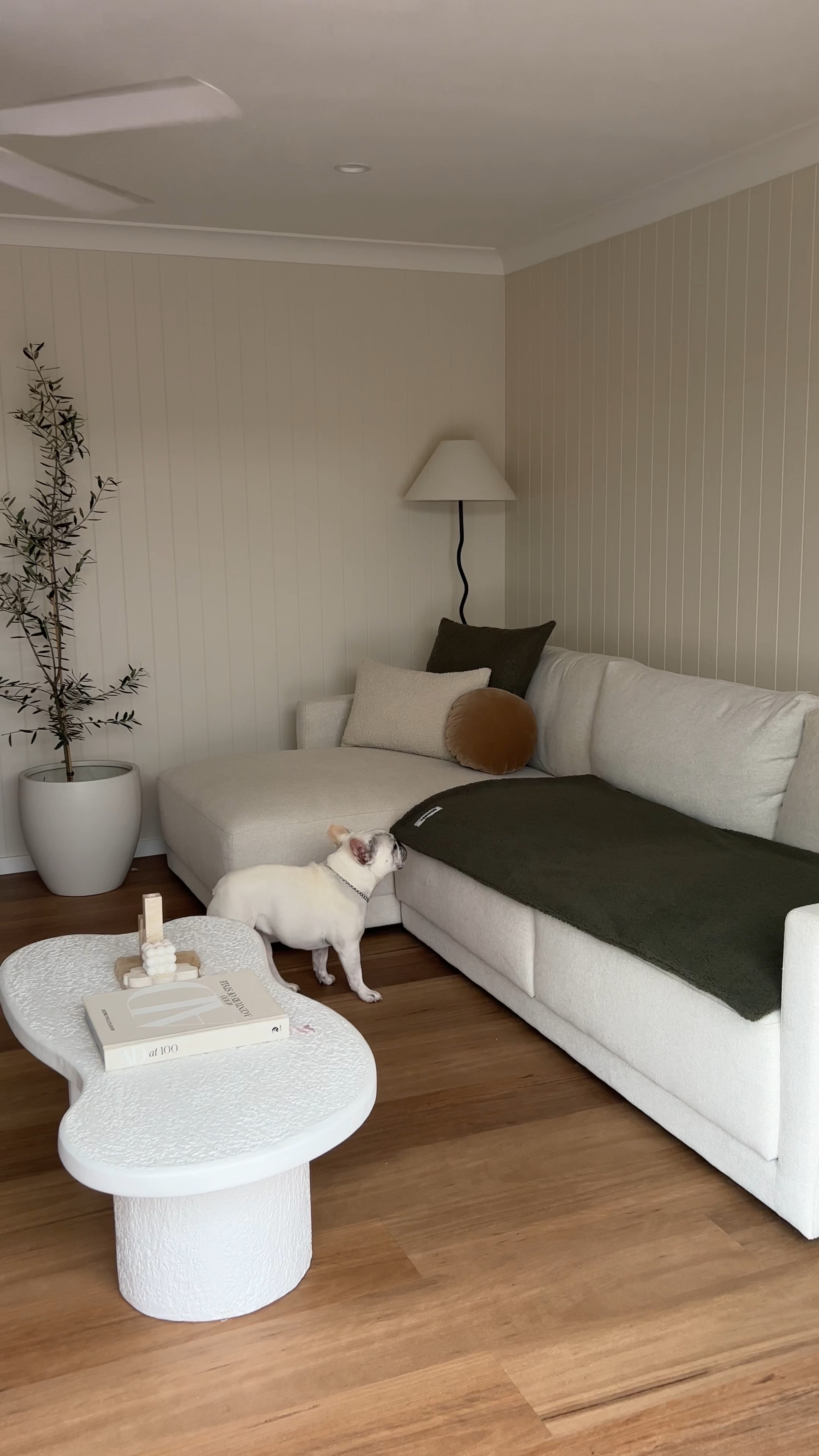 Hommey - Obsessed with my neutral space & green tones 🍃

#LTKVideo #LTKstyletip #LTKaustralia