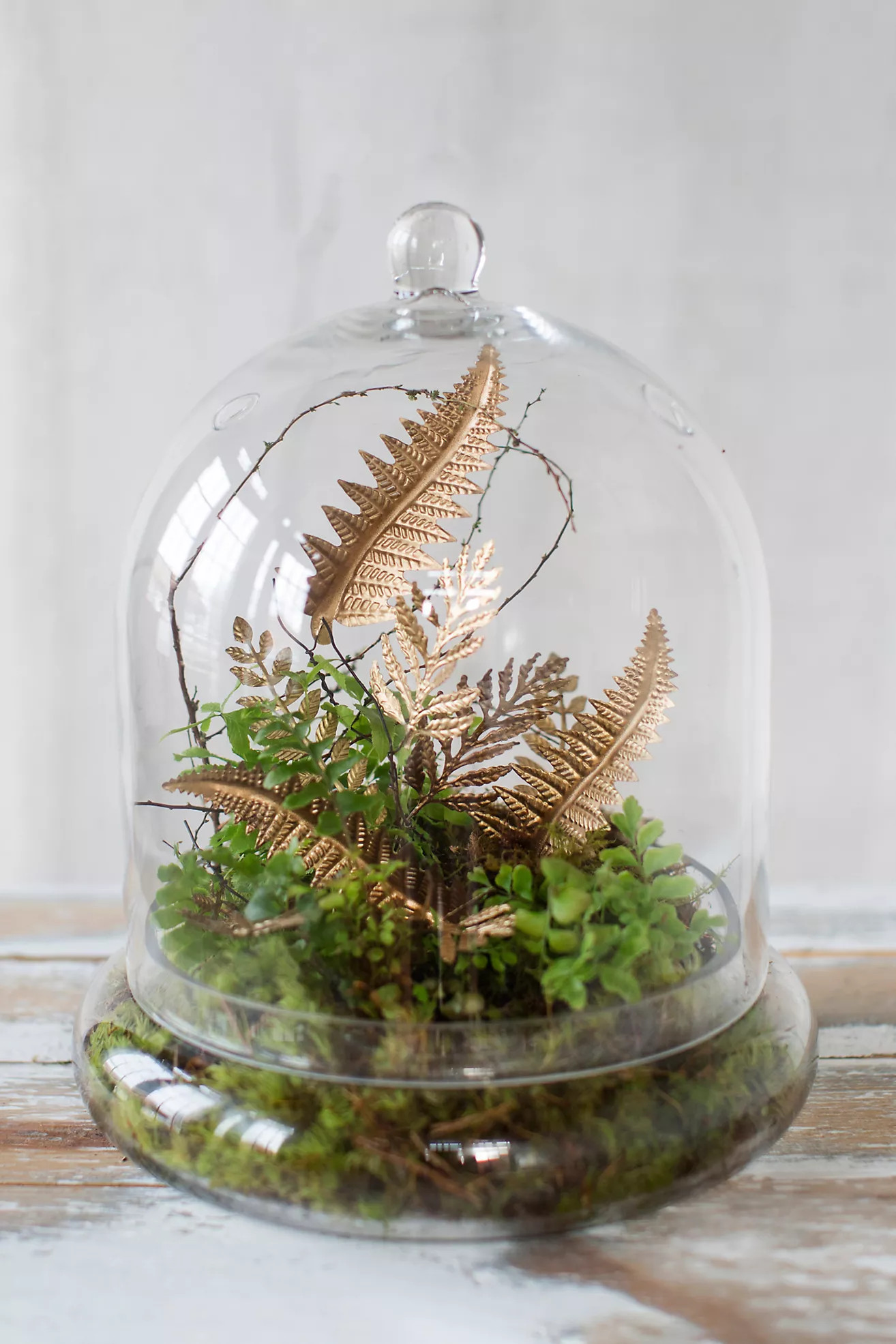 Domed Cloche + Tray Set | Anthropologie (US)