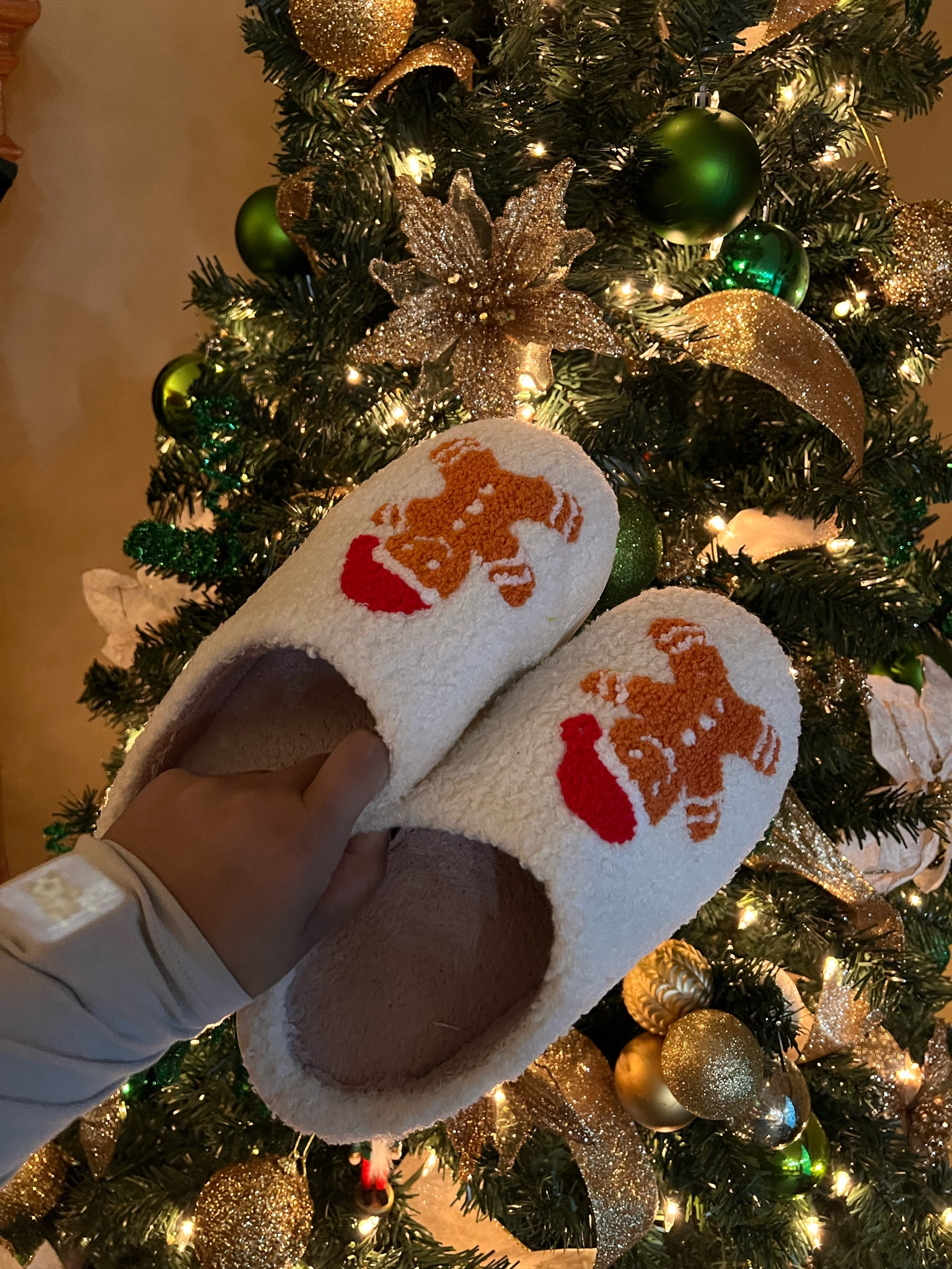 These slippers are perfect for the holiday season! Comfy and affordable !

#LTKHoliday #LTKSeasonal #LTKfindsunder50