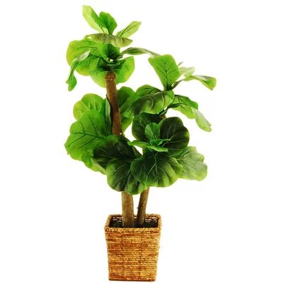 Mini Fiddle-Leaf Fig Tree in Basket | Wayfair North America