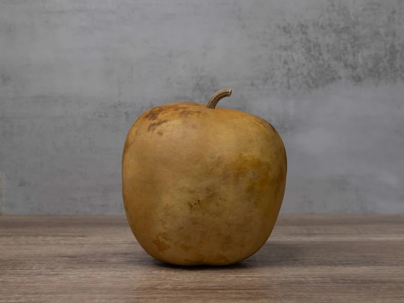 Apple Gourd 6 Diameter, Dried Gourd for Crafts and Decorating - Etsy | Etsy (US)