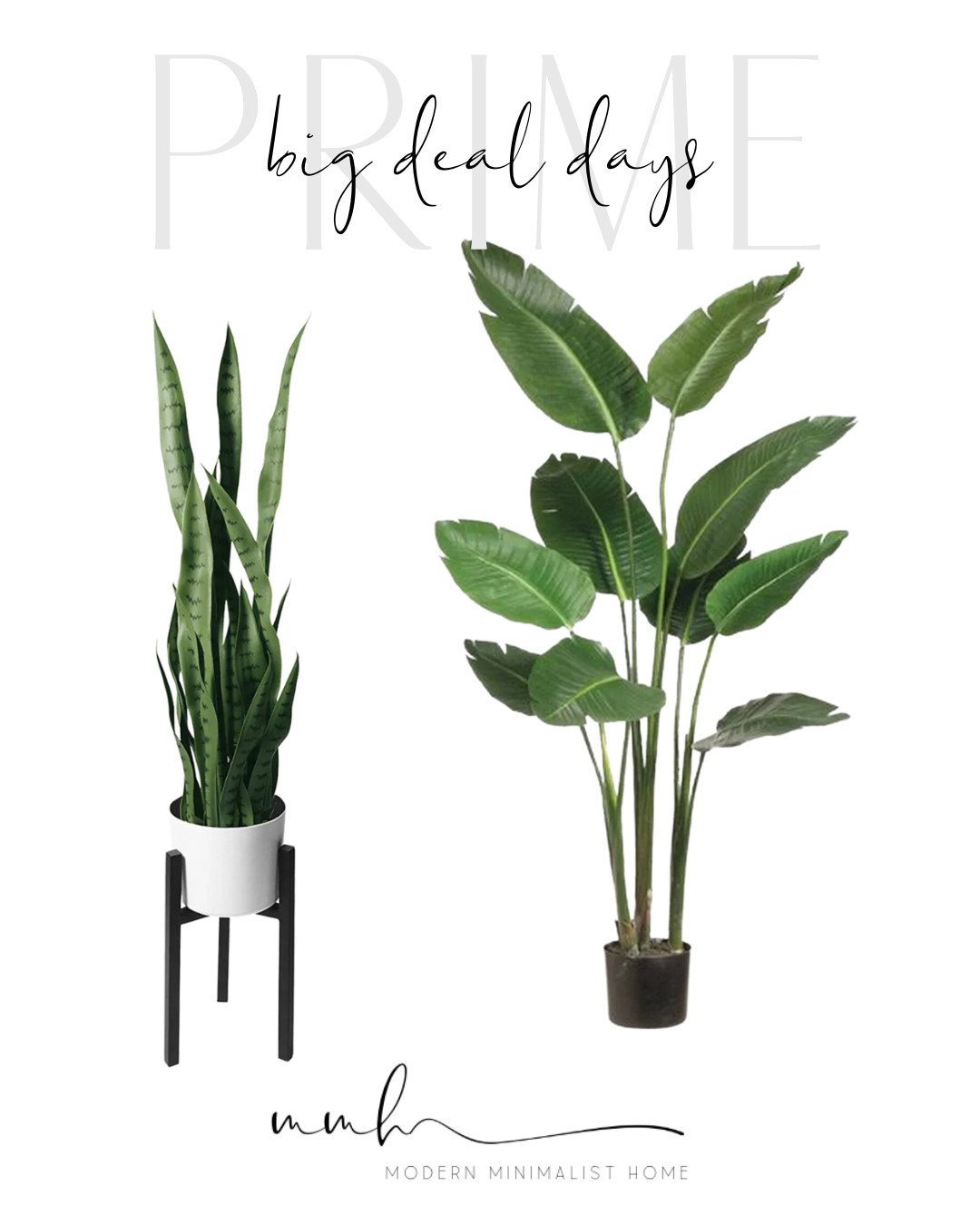 Amazon Faux Plants | Amazon (US)