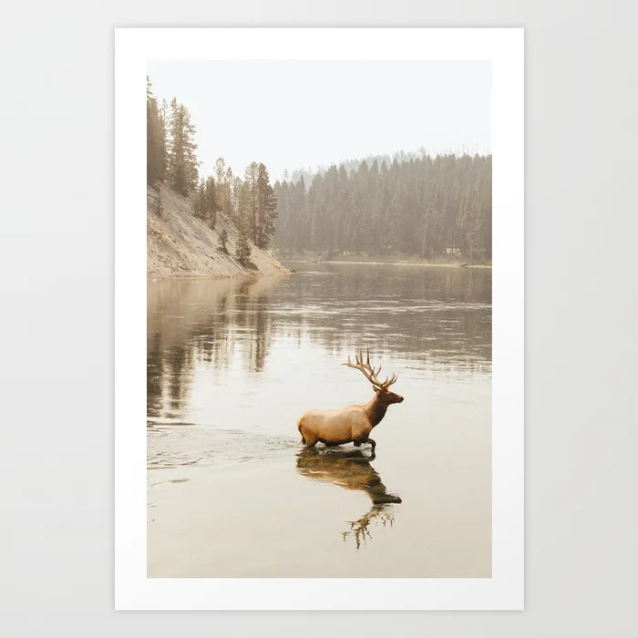 Yellowstone Elk Art Print | Society6