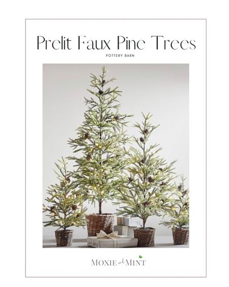 These prelit pine trees are the best!! Perfect holiday accent with these trees from pottery barn!

#LTKhome #LTKHoliday #LTKSeasonal