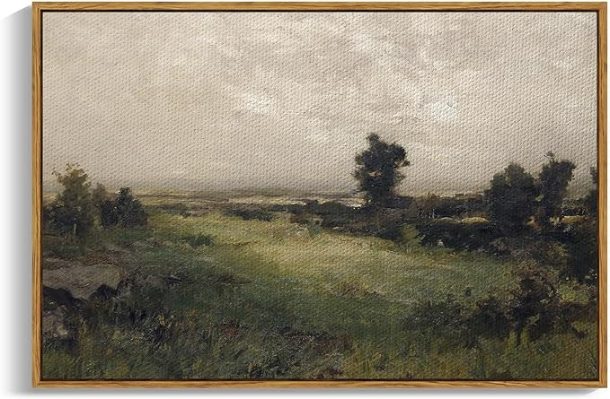 InSimSea Framed Canvas Wall Art Vintage Decor, Framed Vintage Landscape Canvas Wall Art, Wild Fie... | Amazon (US)