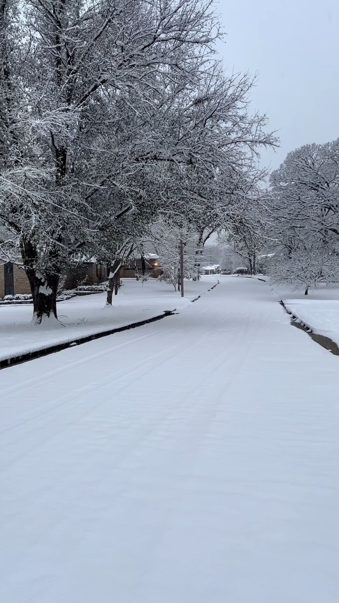 Classic Christmas in our house! 

#homegoods #walmart #amazon 

#LTKHoliday