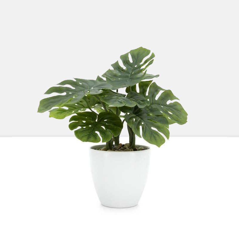 Villa Faux Potted 12" Plant - Monstera | Burke Decor