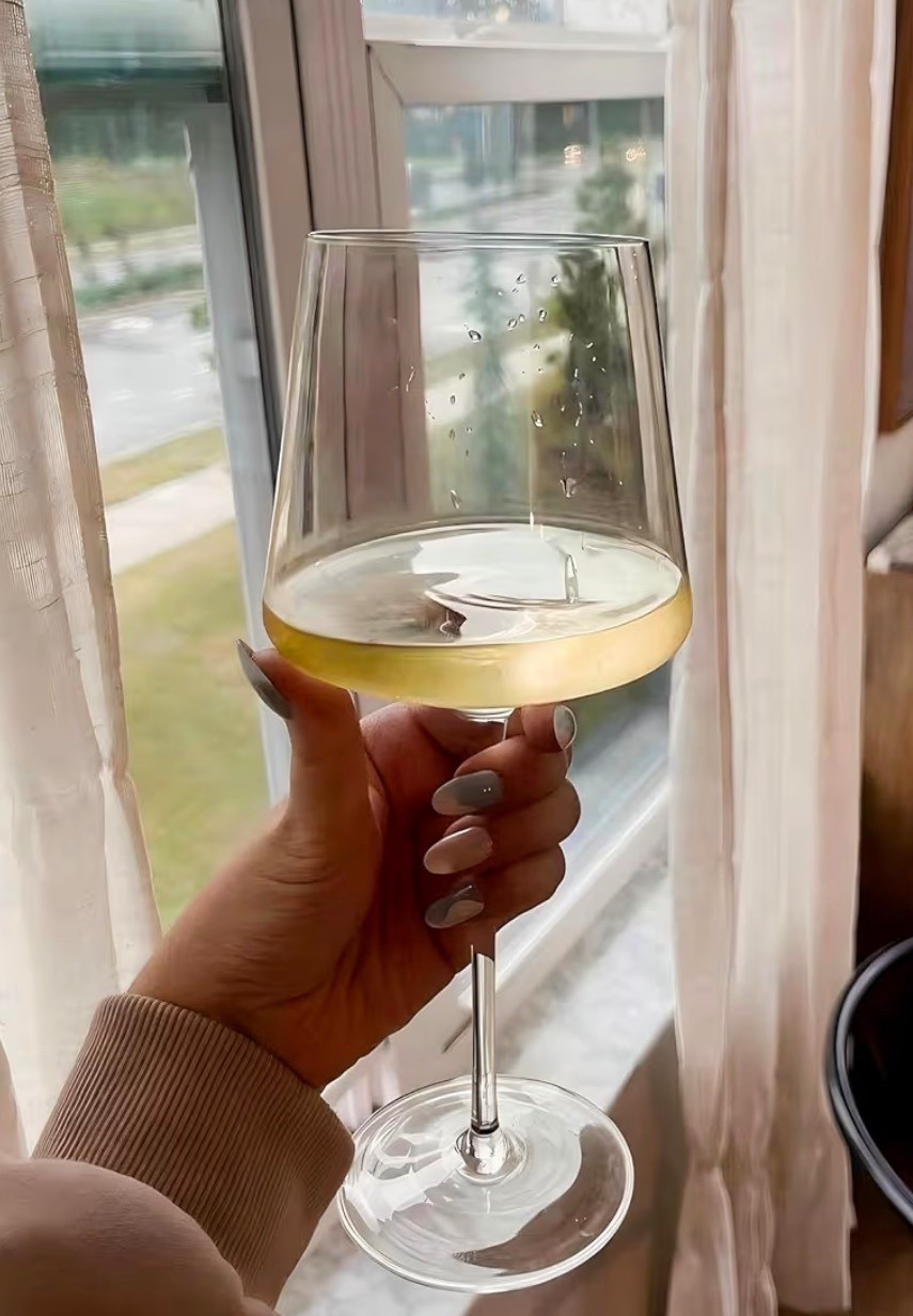 Wine glasses for my sparkling water 😅🤷‍♀️😍🙌🏻

#LTKmomlife #LTKHome #LTKselfcare