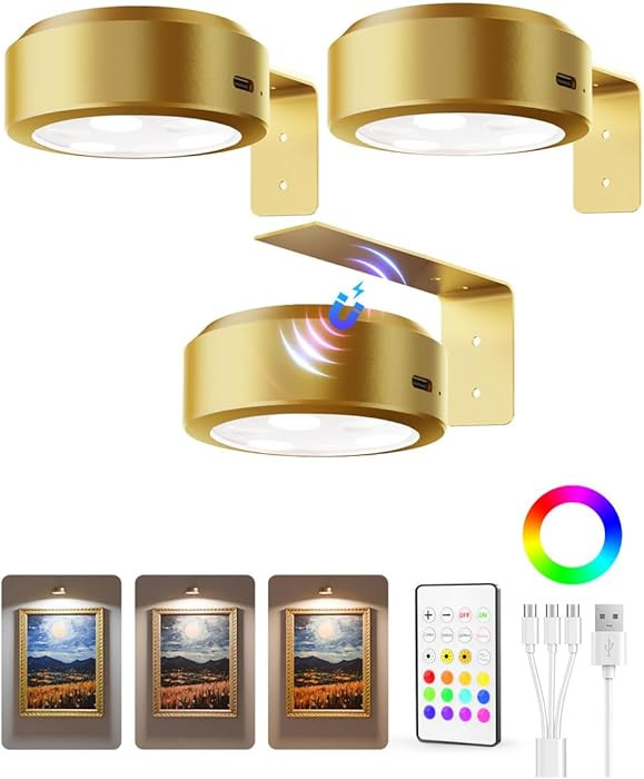 EZVALO Picture Lights for Wall, 2000mAh Rechargeable Battery Magnetic Poster Lights with 3 Color ... | Amazon (US)