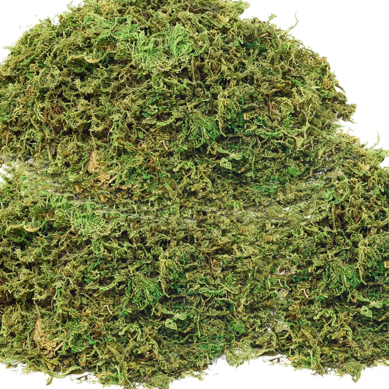 19 OZ Fake Moss for Potted Plants for Fake Plants,Artificial Moss for Crafts,Faux Moss for Fake Plants Decroative Moss Artificial Green Moss | Amazon (US)