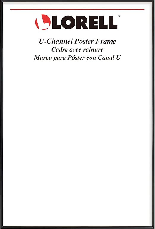 Lorell Stylish Poster Frame, 18 x 24 (49213) | Amazon (US)